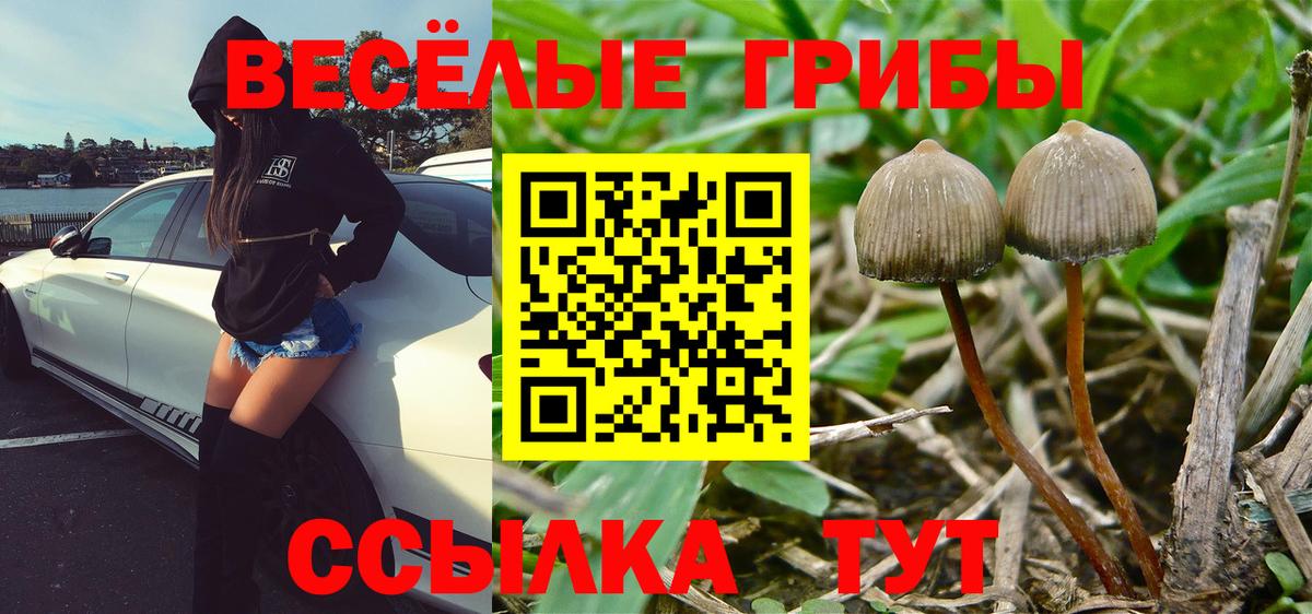 цены   Вход с VPN  Псилоцибиновые грибы ЛСД  Калуга  Галлюциногенные грибы прущие грибы 