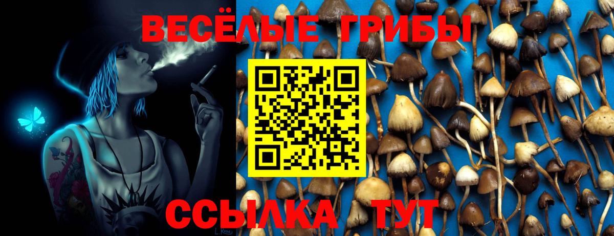 Галлюциногенные грибы Magic Shrooms Калуга